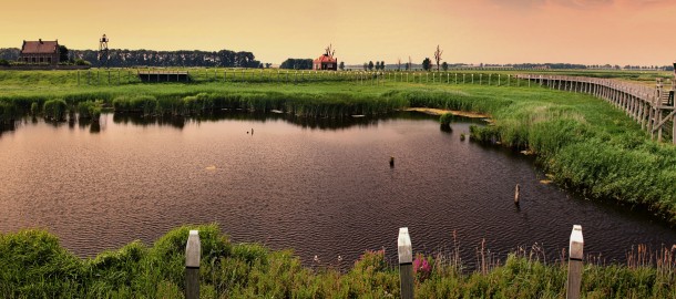 Schokland_natuur